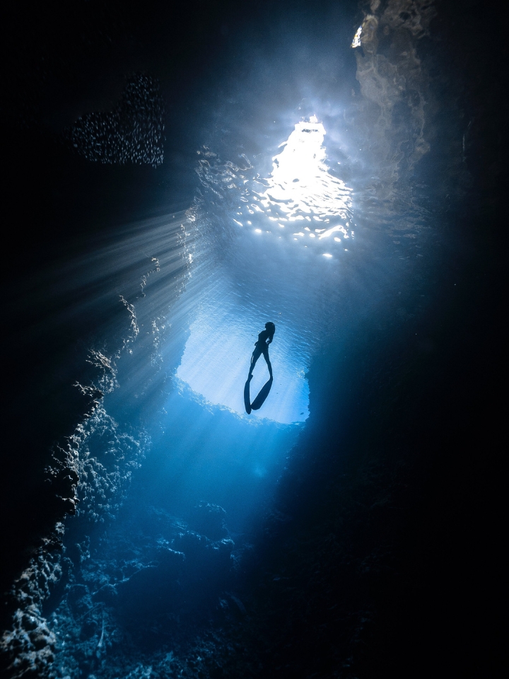 Diver in a cenote in Cancun waters.