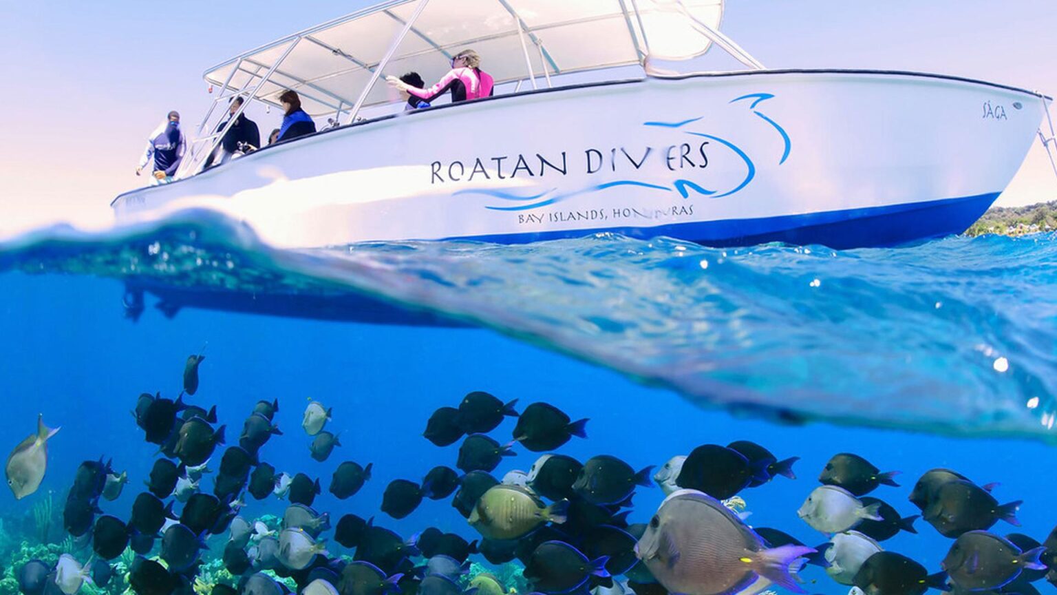 See Roatan The 15 BEST Things To Do In Roatan According To Locals