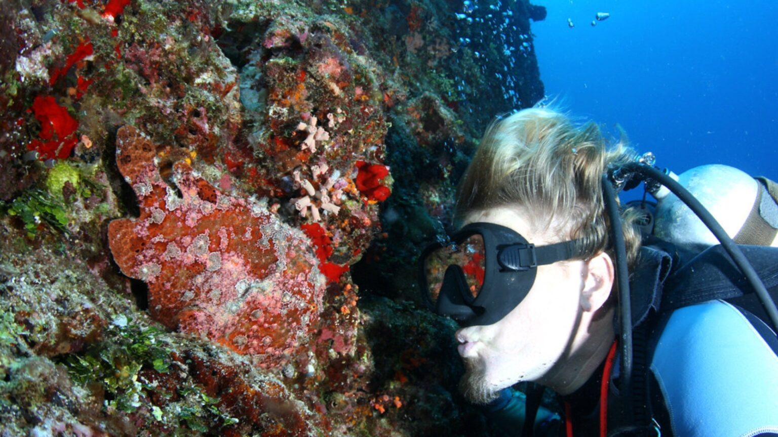 What is Nitrogen Narcosis: signs, symptoms and treatment (according to ...