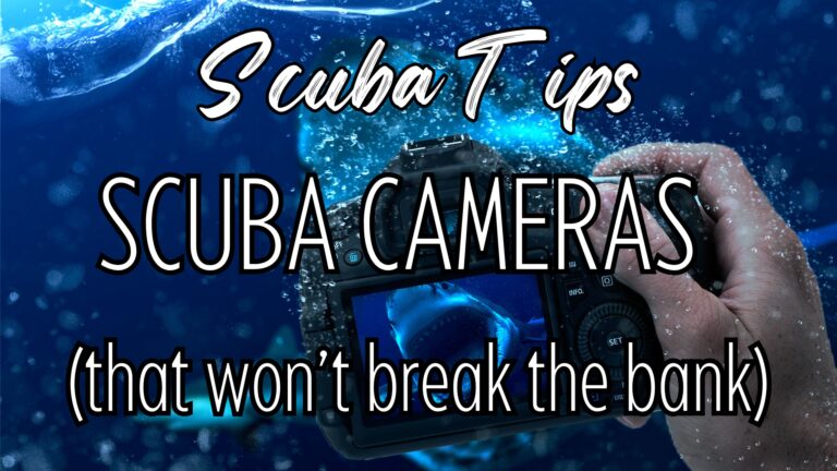 Best underwater cameras for scuba diving (Under $600)