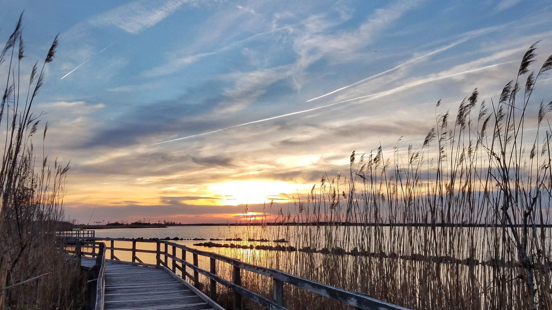 a photo of a boardwalk won the water at sunset
