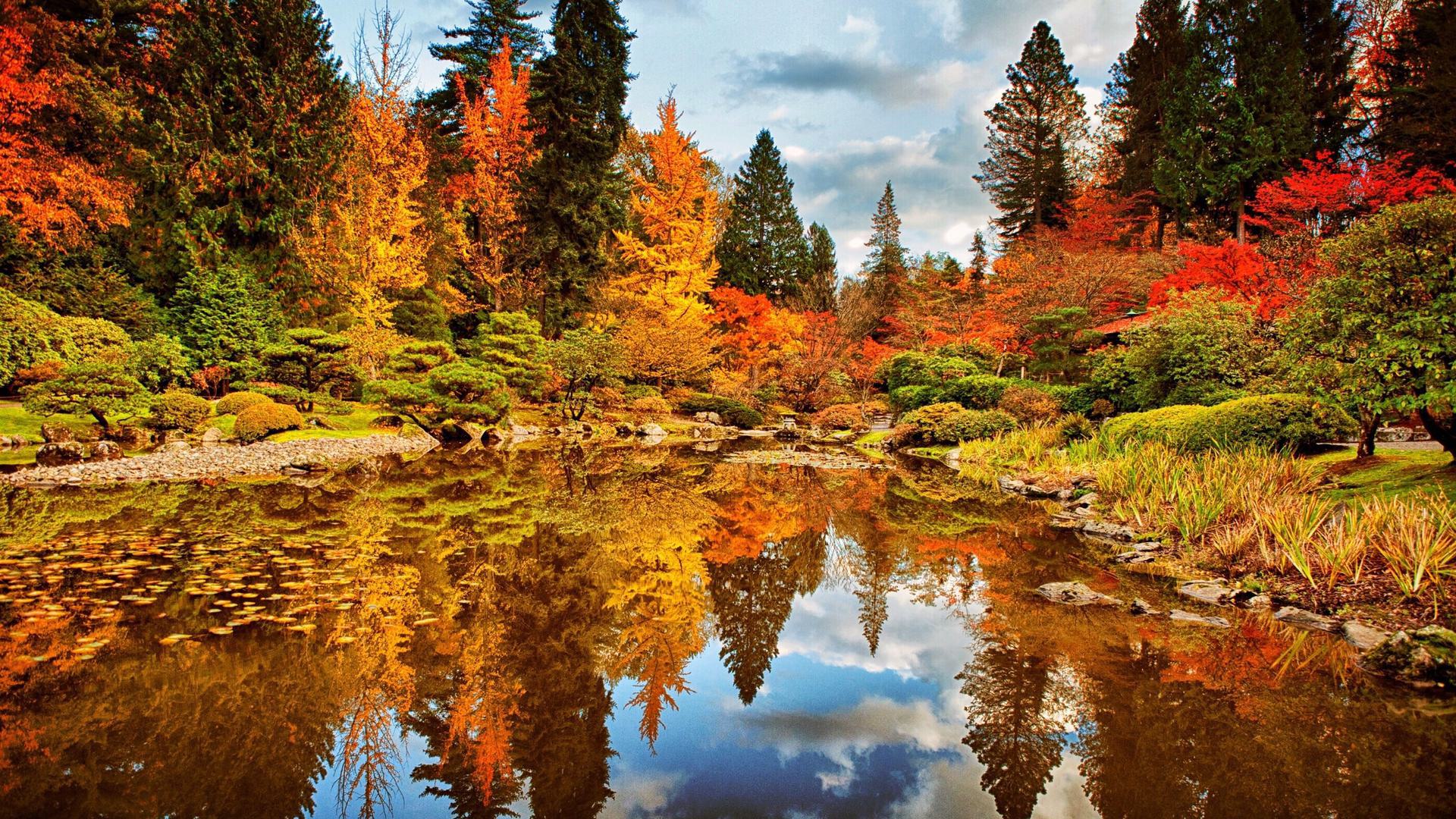 a fall colored woods with a lake
