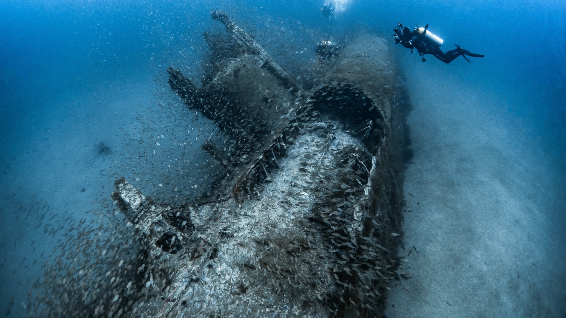 Photo of German U-Boat 352 sunk underwater.
