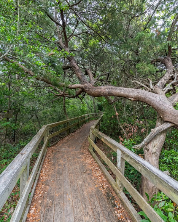 Photo of Hoop Pole Creek Nature Trail.