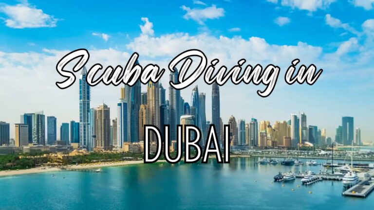 The Ultimate Guide to Scuba Diving in Dubai