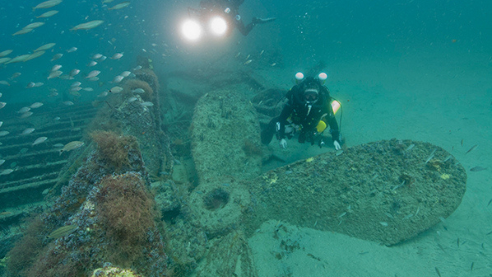 Photo of the spare propeller of the Ashkhabad.