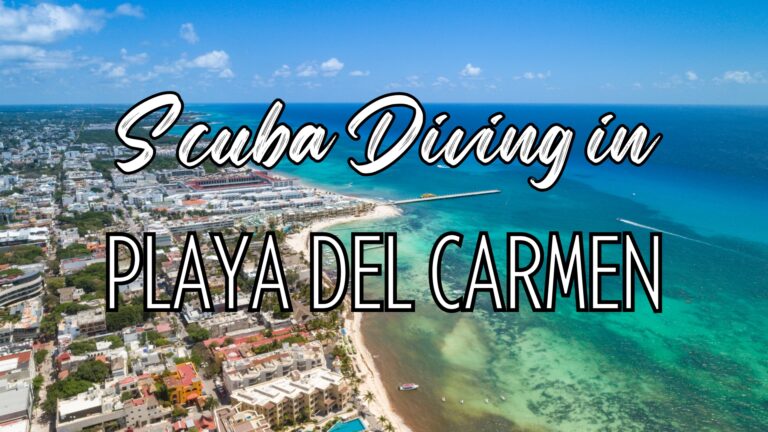 Aerial view of Playa Del Carmen with words "Scuba Diving in Playa del Carmen"