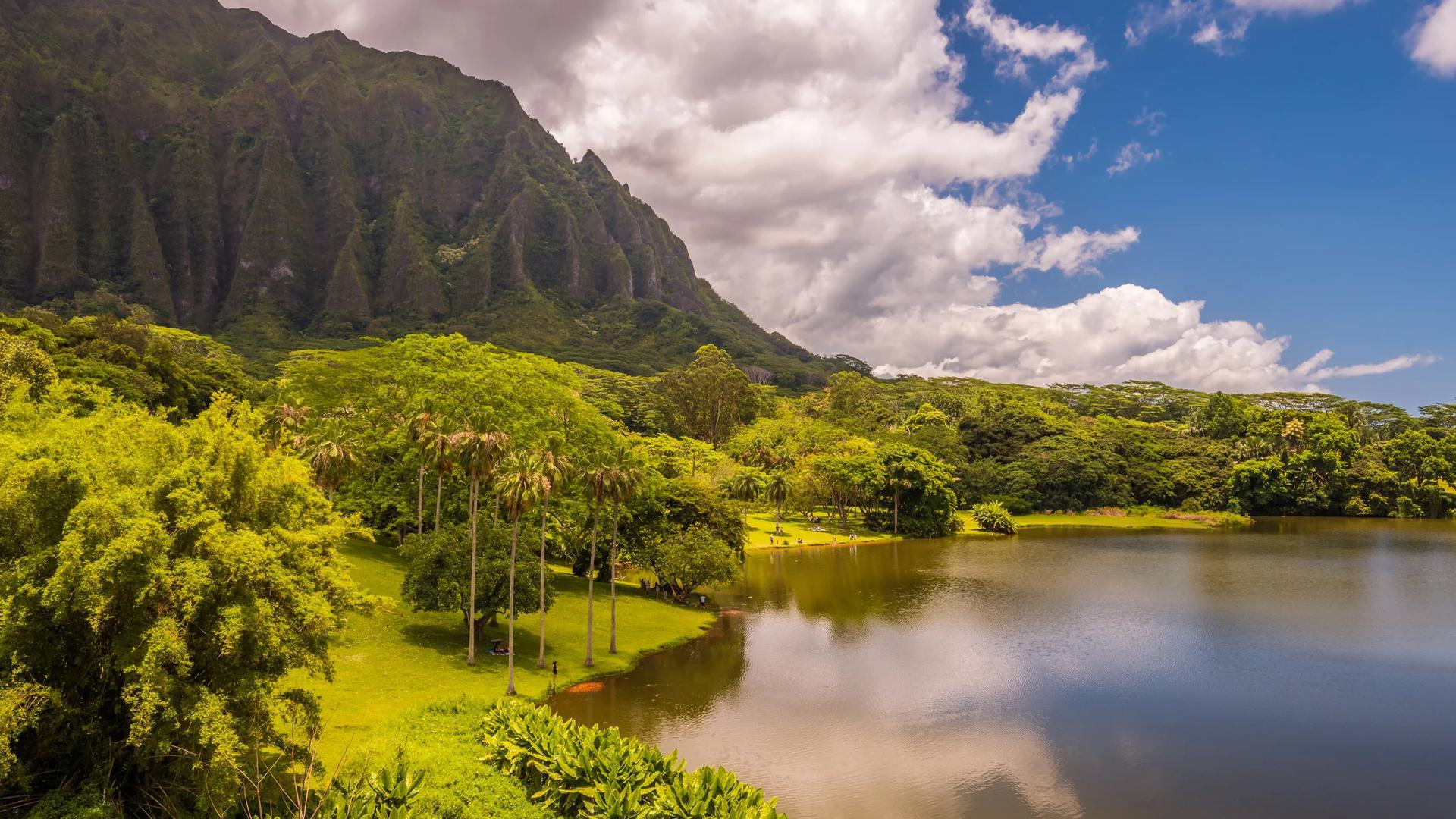 a scenic photo of a forest and lake