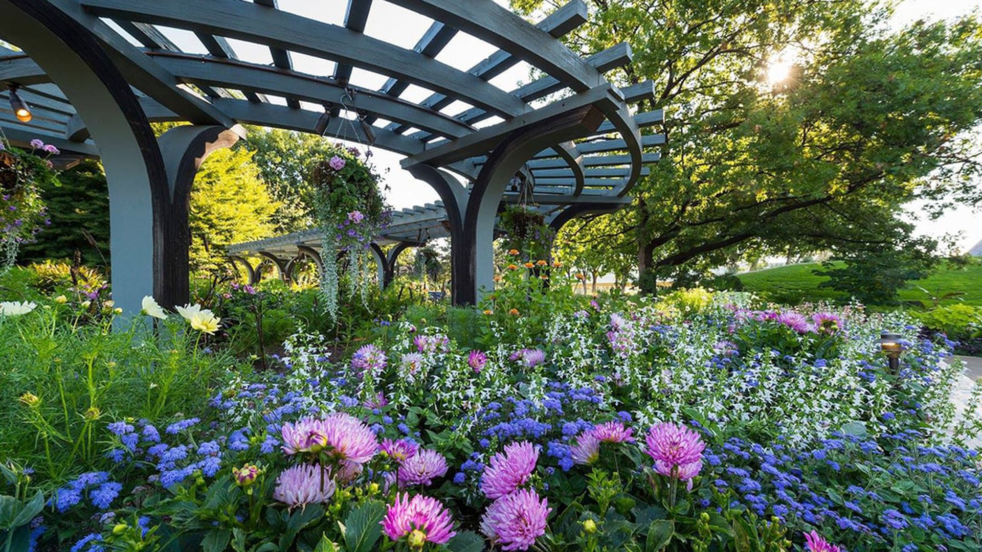 a garden