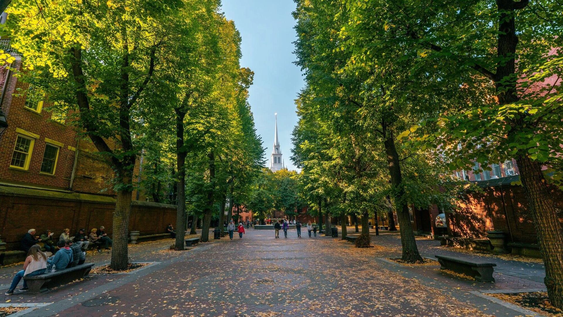 a walkway with trees lining the sides