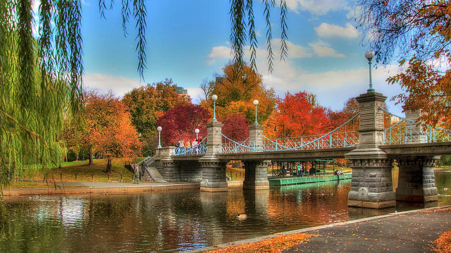 a bridge over water in a park in the autumn