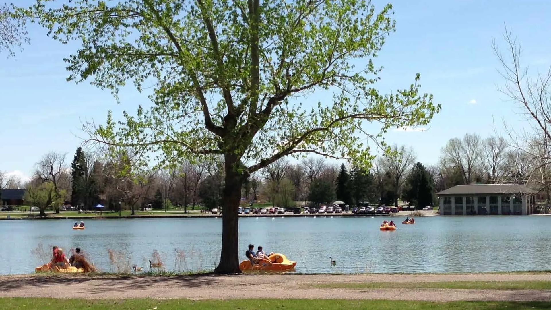 a view of water with people on paddle boats