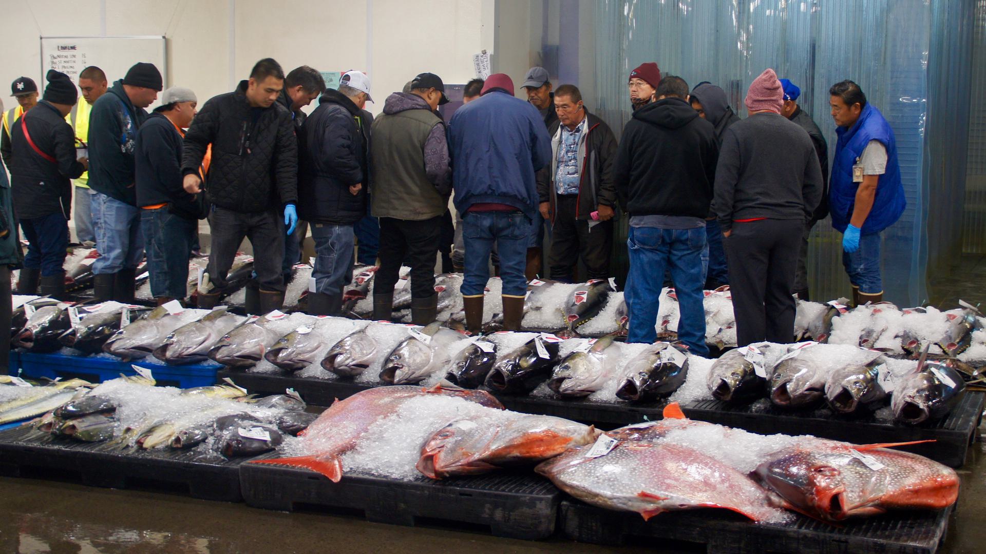 people huddled around large fish for auction