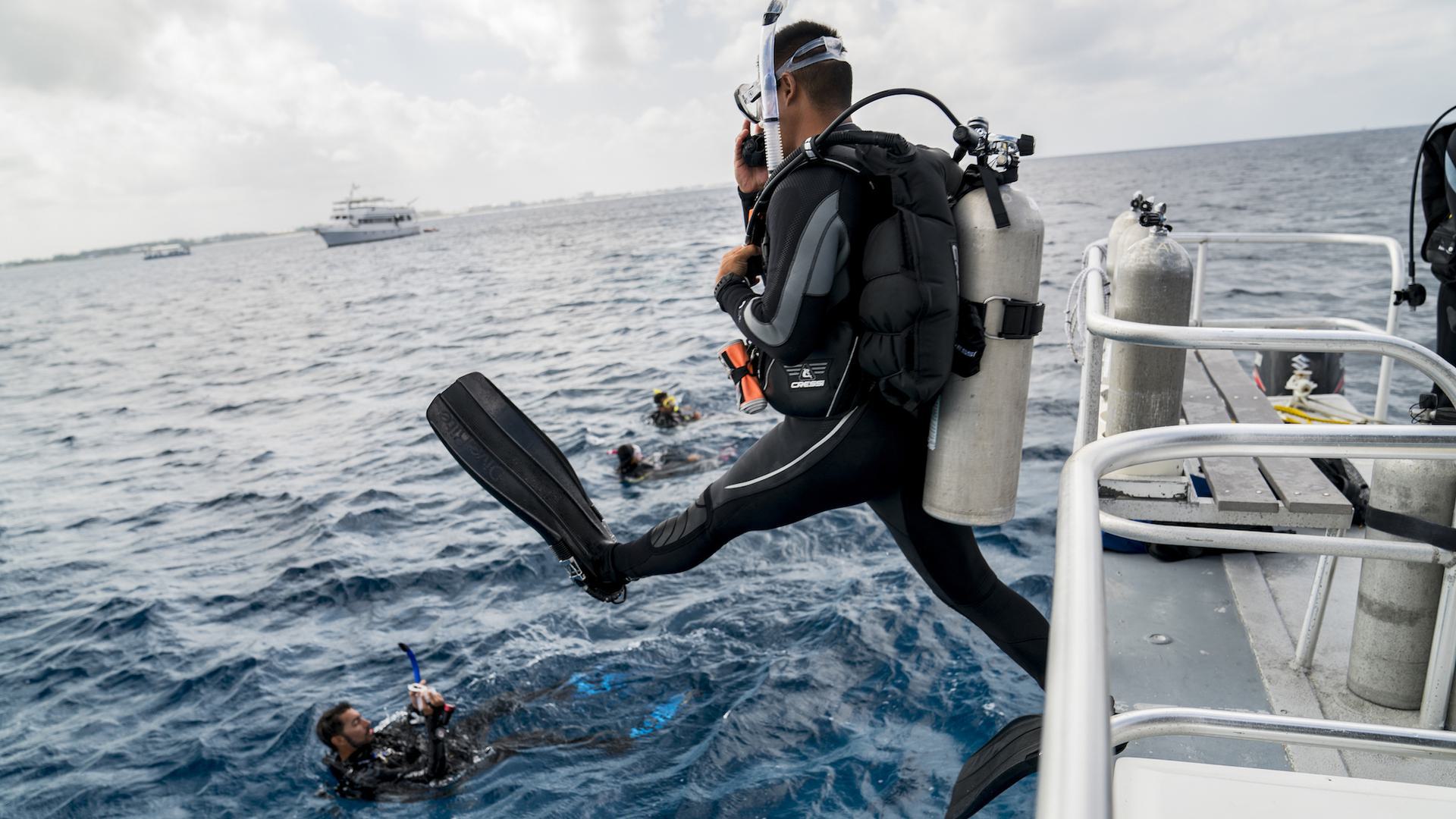 a diver jumping in the water