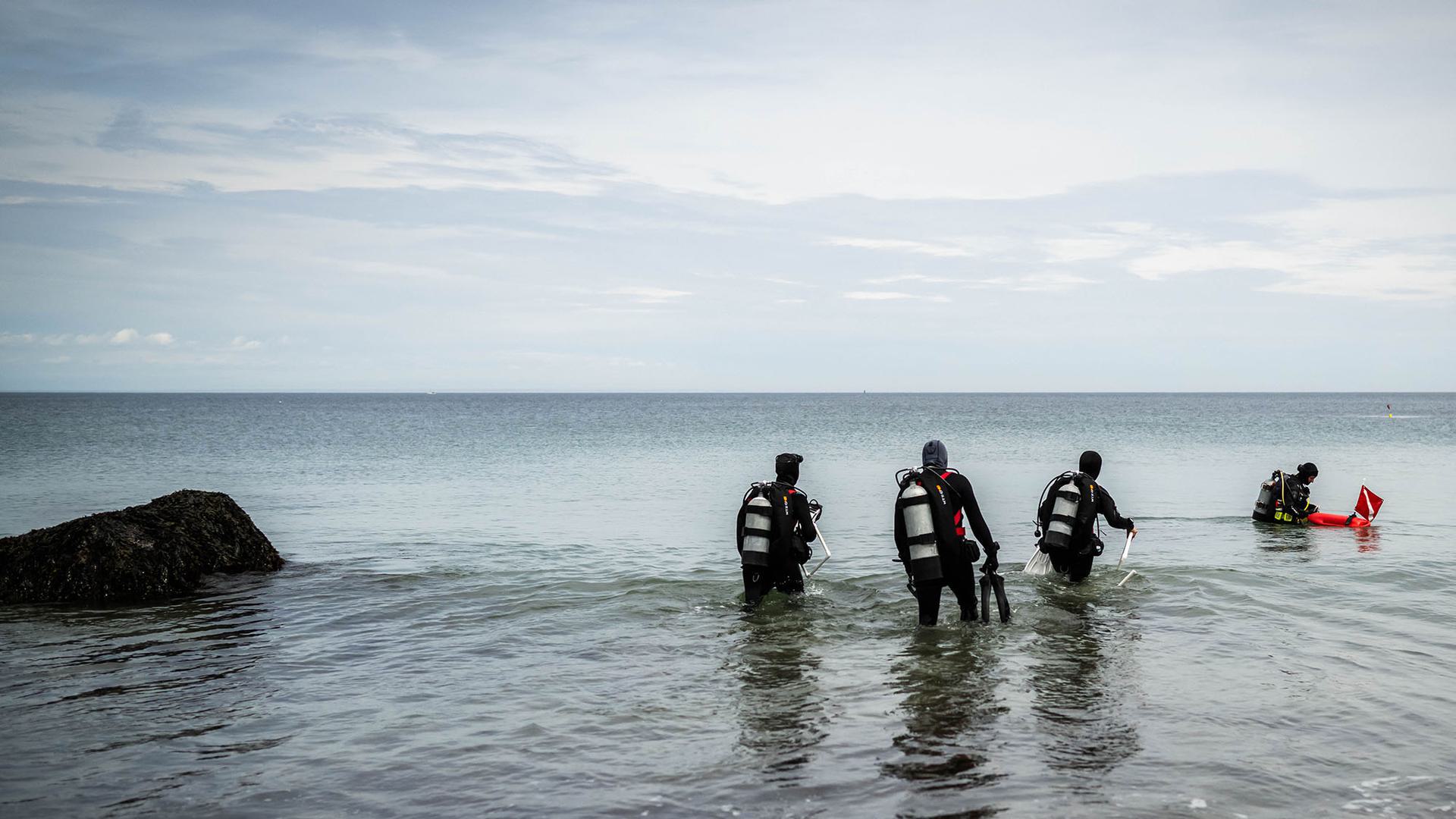 four scuba divers walking into the water