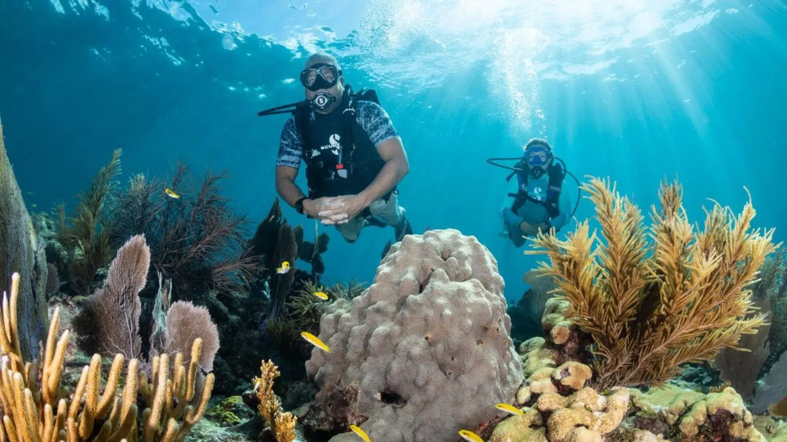 Photo of scuba divers on a reef.