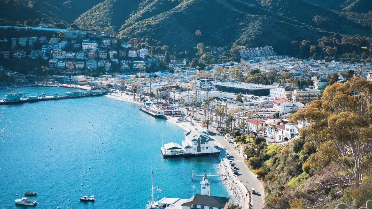 Photo of Catalina.