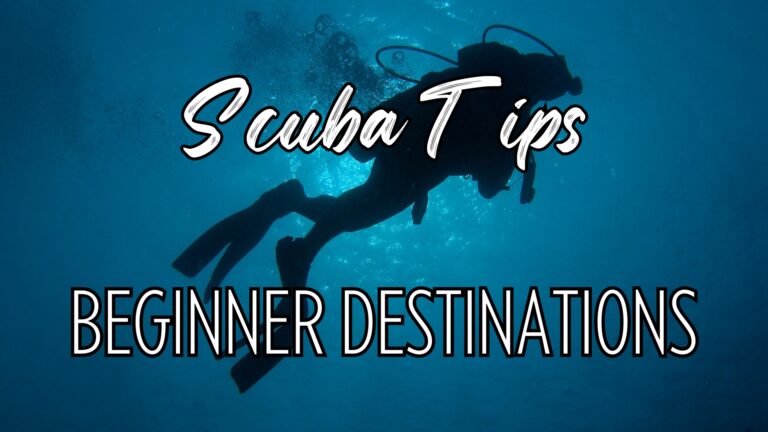 scuba diver silhouette with words "scuba tips beginner destinations"