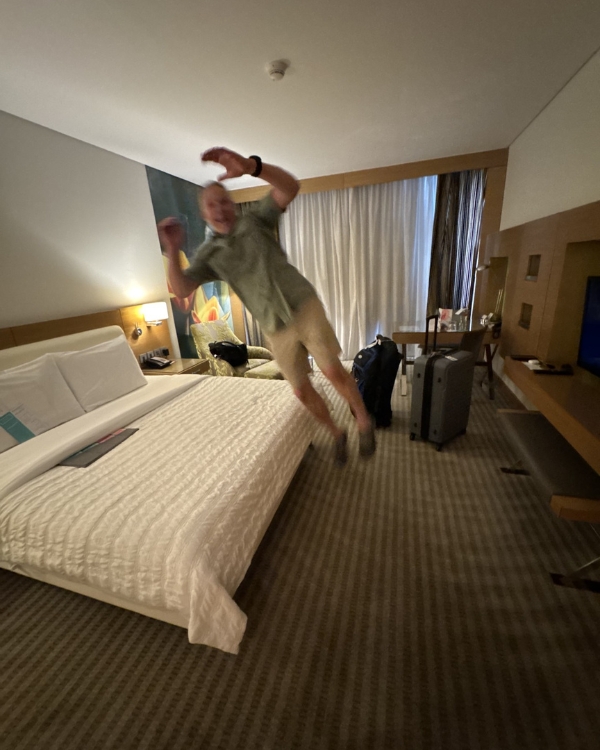 Photo of Scuab Jay jumping into bed.