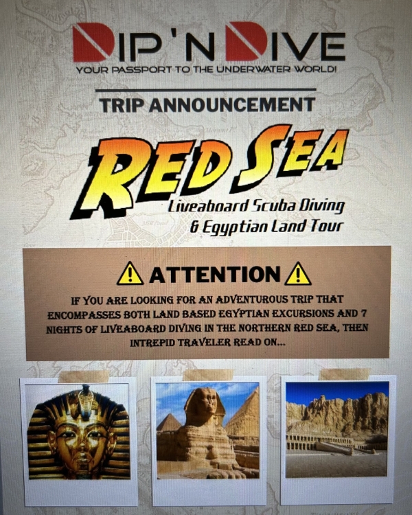 Photo of Scuba Jay's flyer for his group trip to Egypt.