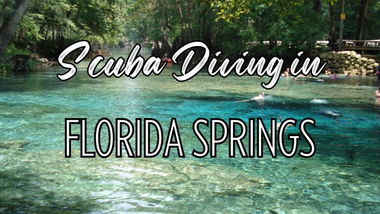 Photo of spring with words "scuba diving in florida springs"