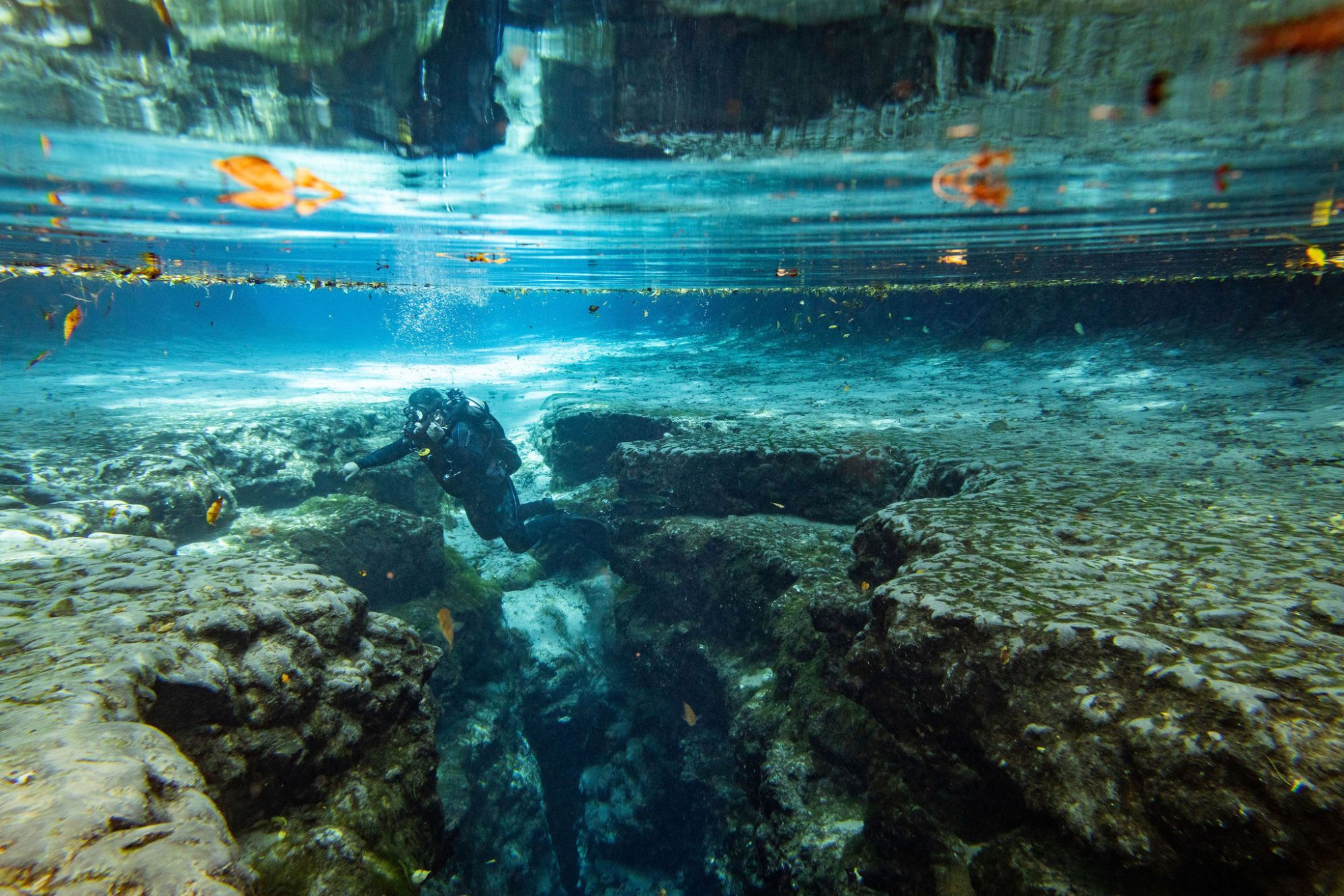 a diver underwater