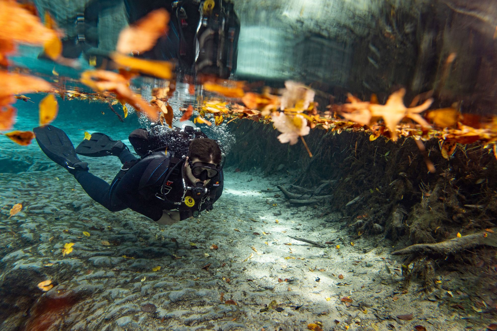 a scuba diver under the water