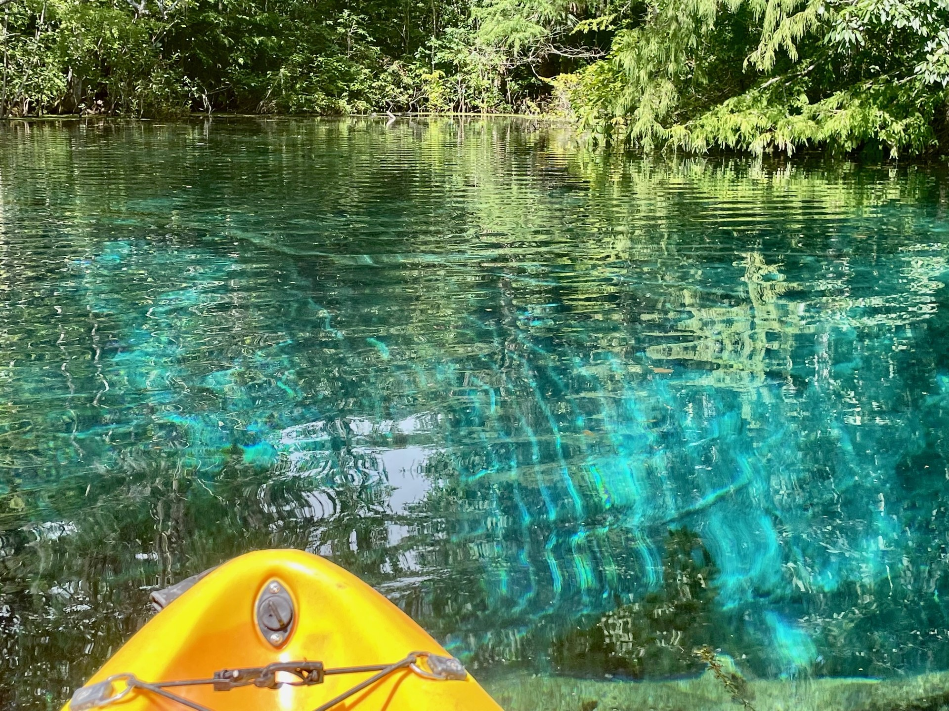 the tip of a canoe on the water