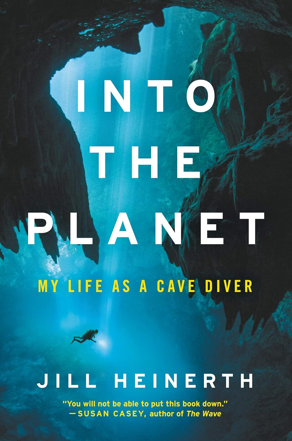 The book cover of Into the Planet by Jill Heinerth